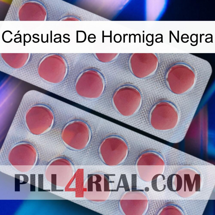 Cápsulas De Hormiga Negra 19